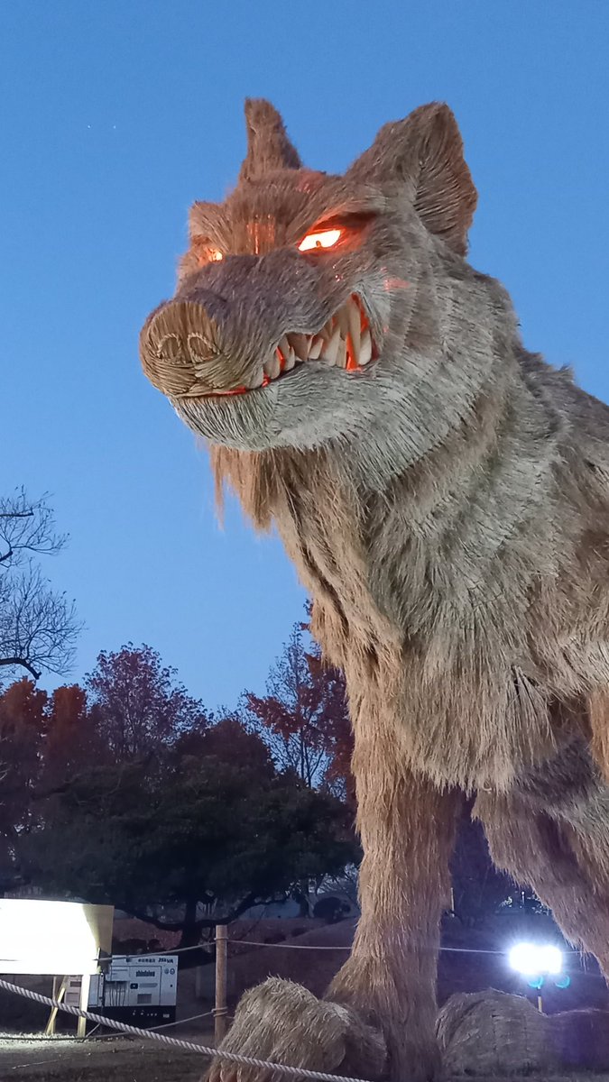 seitensourou's tweet image. あぁぁぁーーー！！！！💕💕💕
ヤッッッベェ！！！！✨🐺✨