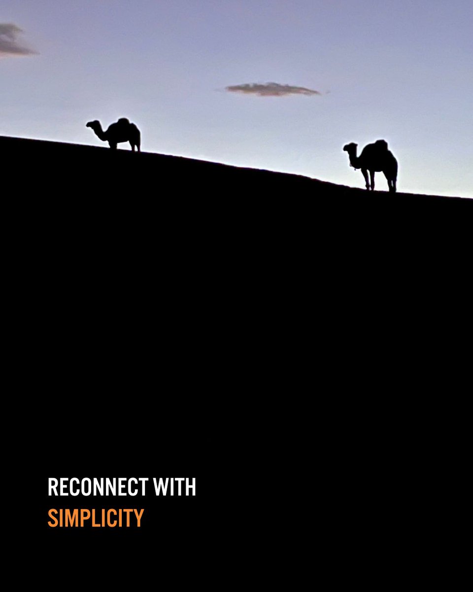 On our Sahara Desert Trek - an adventure like no other - you’ll experience heat, Berber life, delicious food, and the raw, unparalleled beauty of the great Sahara Desert.

Click below to find out more!
thebucketlistcompany.co.uk/destinations/s…