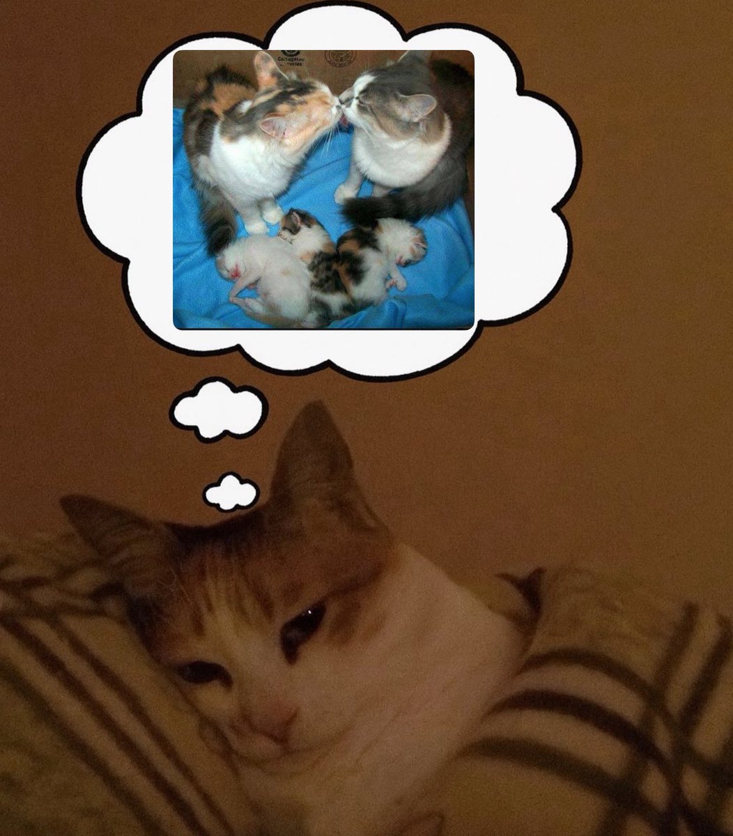 @Anxiety tweet media