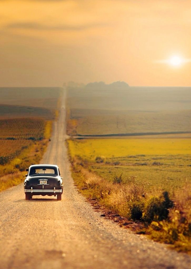 DesignSemo's tweet image. 