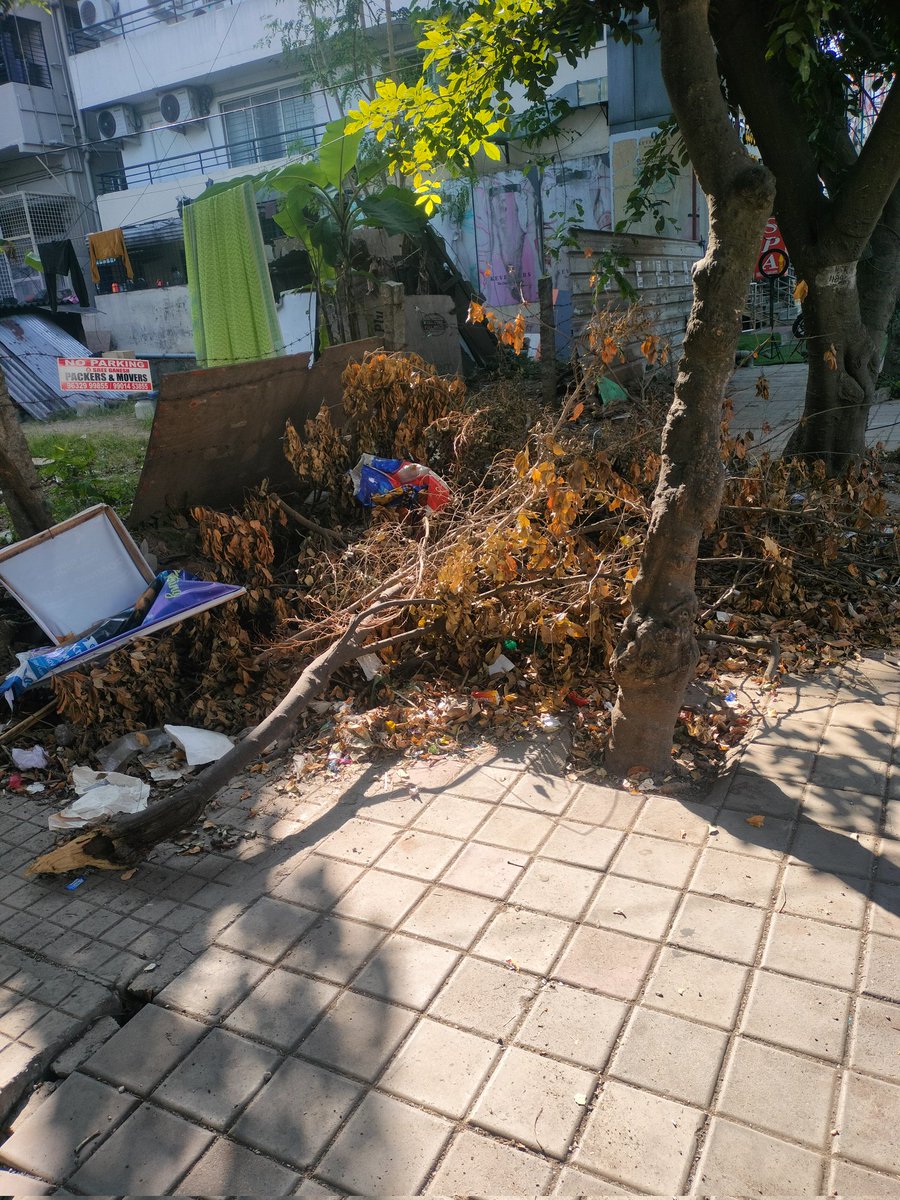 Iam_ChethanR's tweet photo. 14th main, sector 4, HSR layout opposite to Whitehouse last month GBA person cut the branches of the tree put into public footpath now some public throwing plastic it becomes garbage hub GBA must consider this type of  issues.
@comm_blr_south 
@GBAChiefComm
@cleanbengaluru https://t.co/b5UtUmZxG5