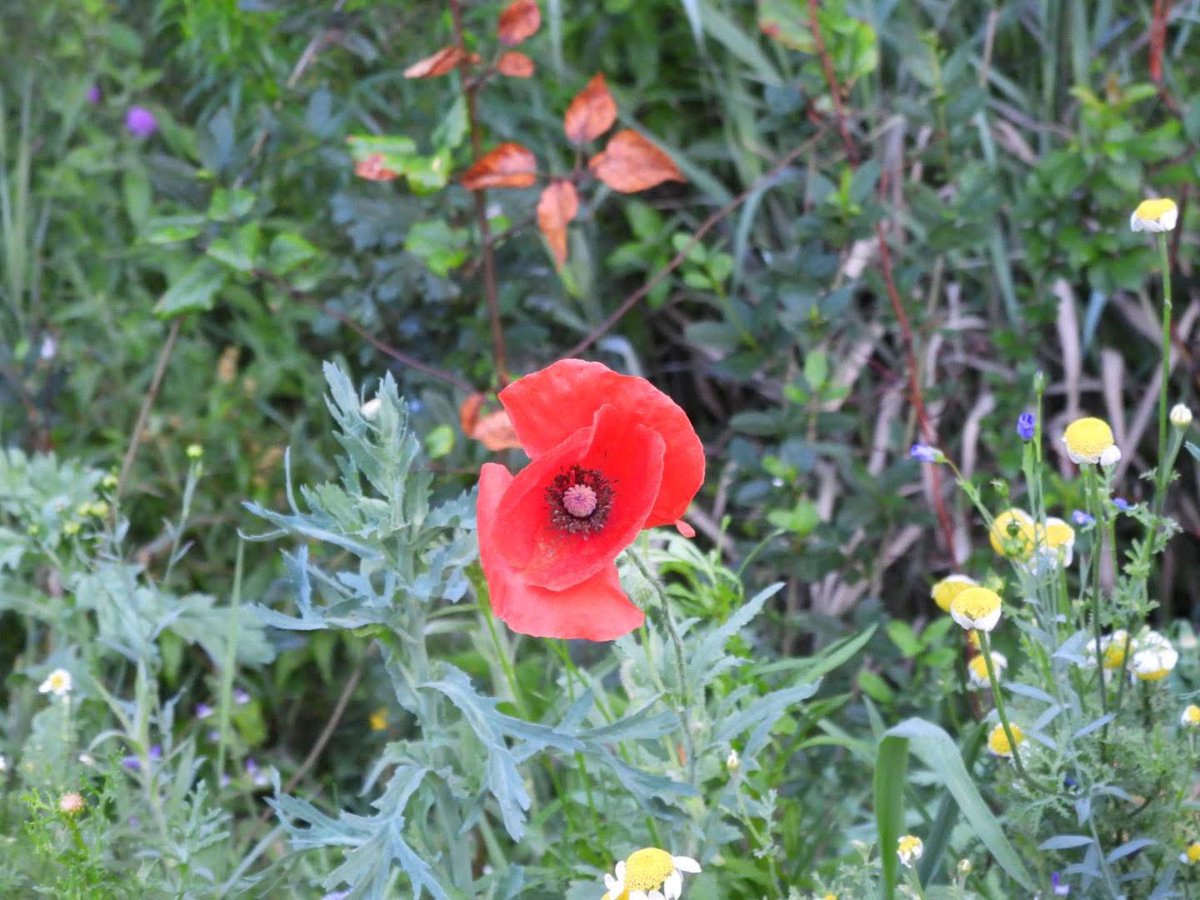 Evil, unconscious actions. 

Not a day seems to go past where some despicable act perpetrated by humans goes on - Australia and another shooting in the US as just two of the latest examples. 

My heart goes out to the innocent people killed and of course their families and loved