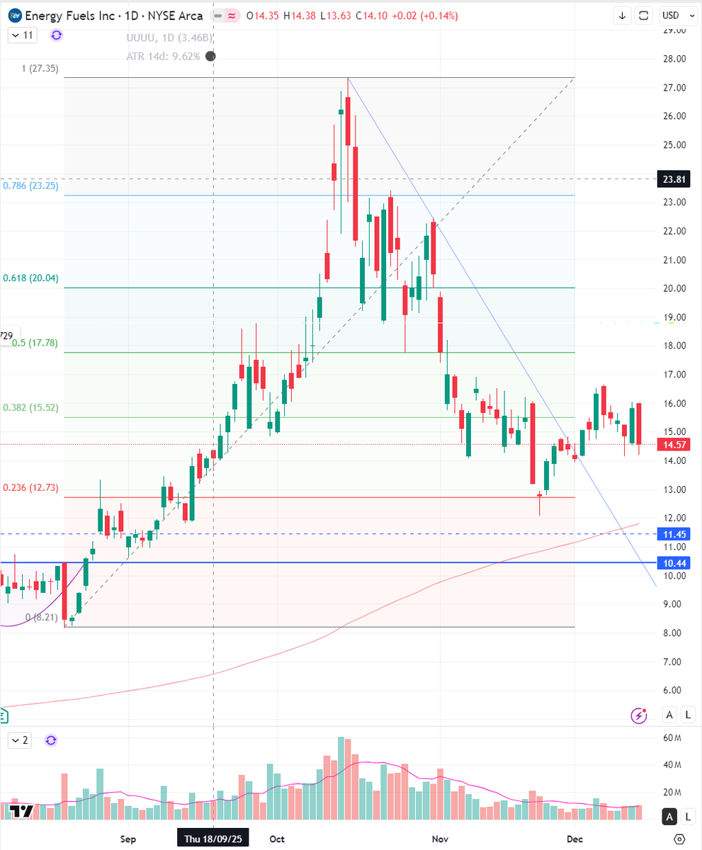 Adi Plaut tweet media