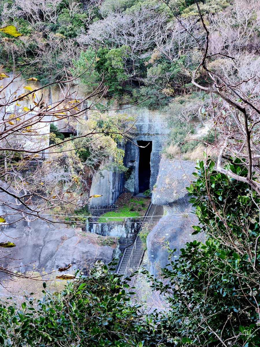 いもむしc(.(.(.(.(@･ω･) tweet media