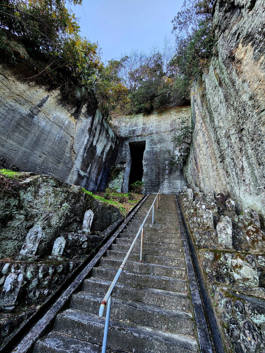 いもむしc(.(.(.(.(@･ω･) tweet media