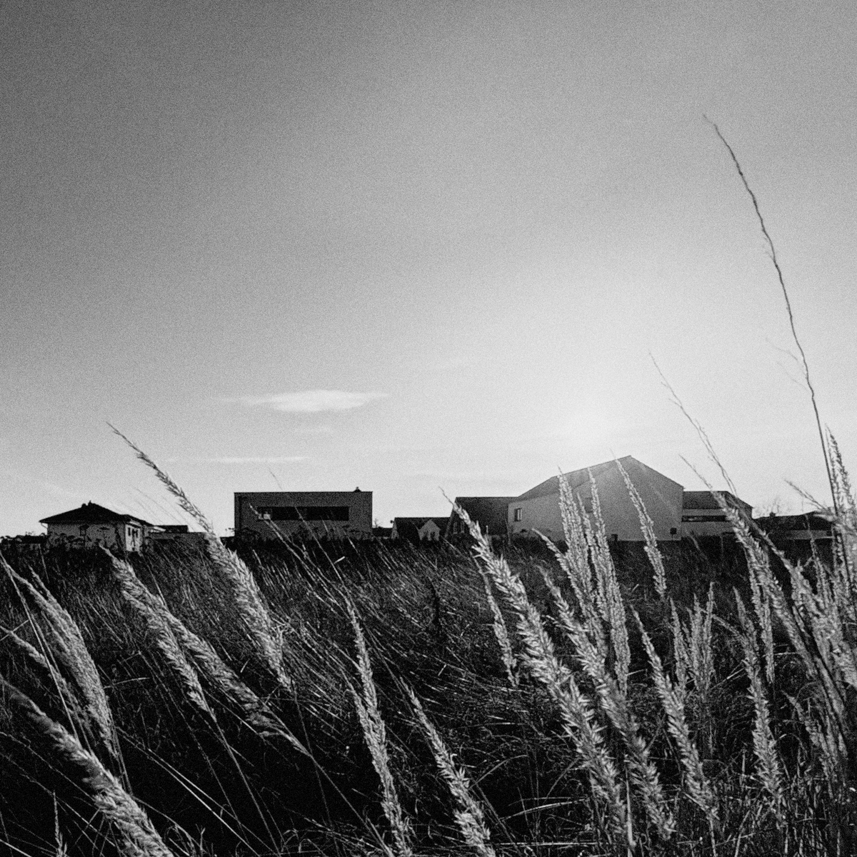 01000010 tweet media