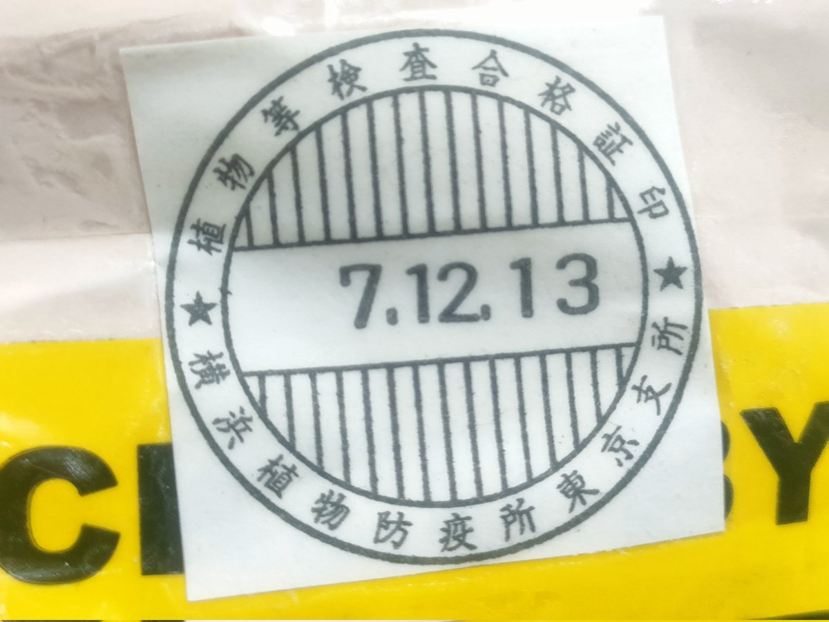 KENZO (@fw_kenzo) / Posts / X