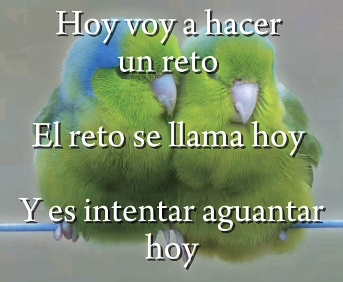 puntovioteta's tweet image. 