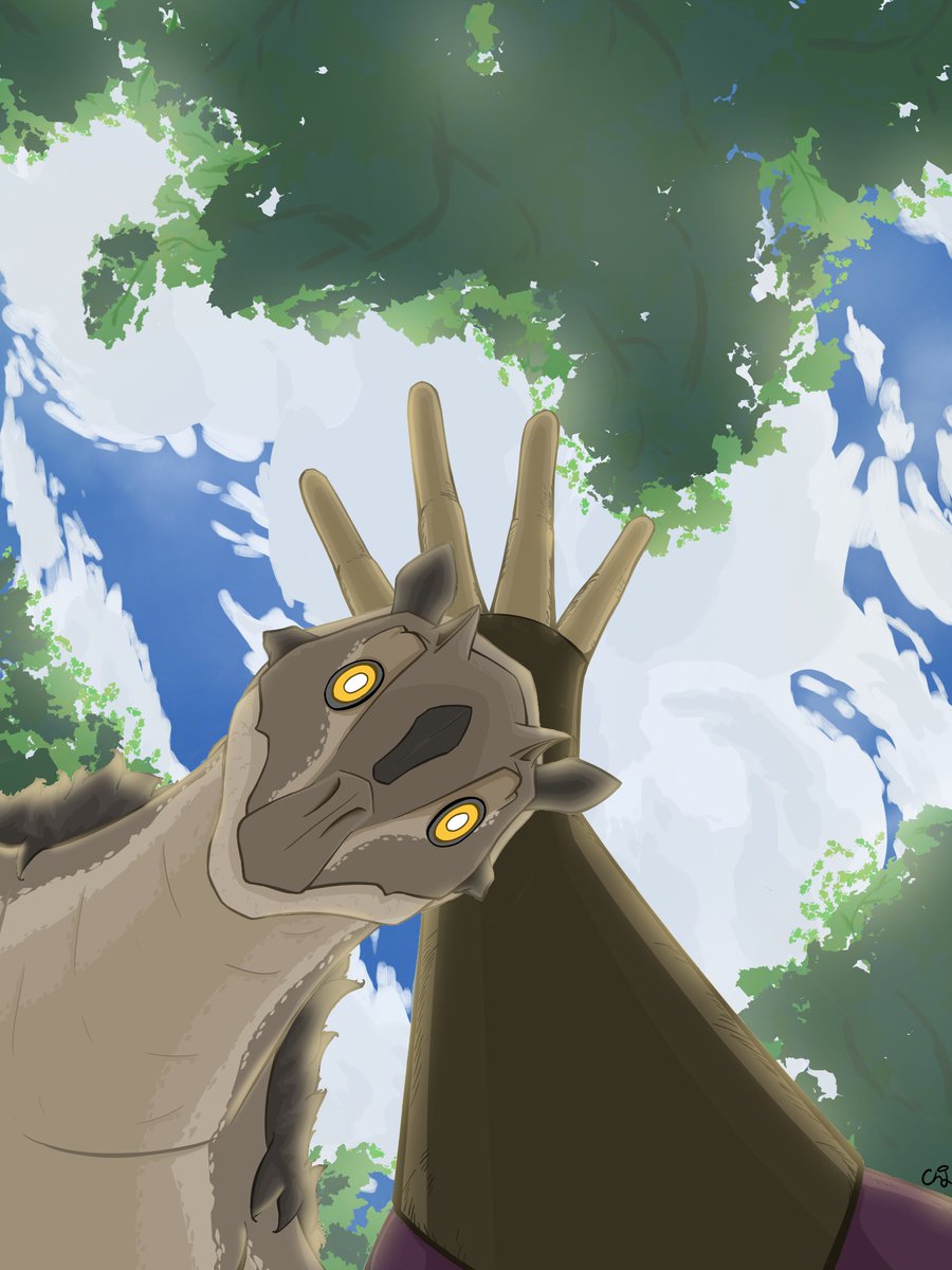 Hito tweet media