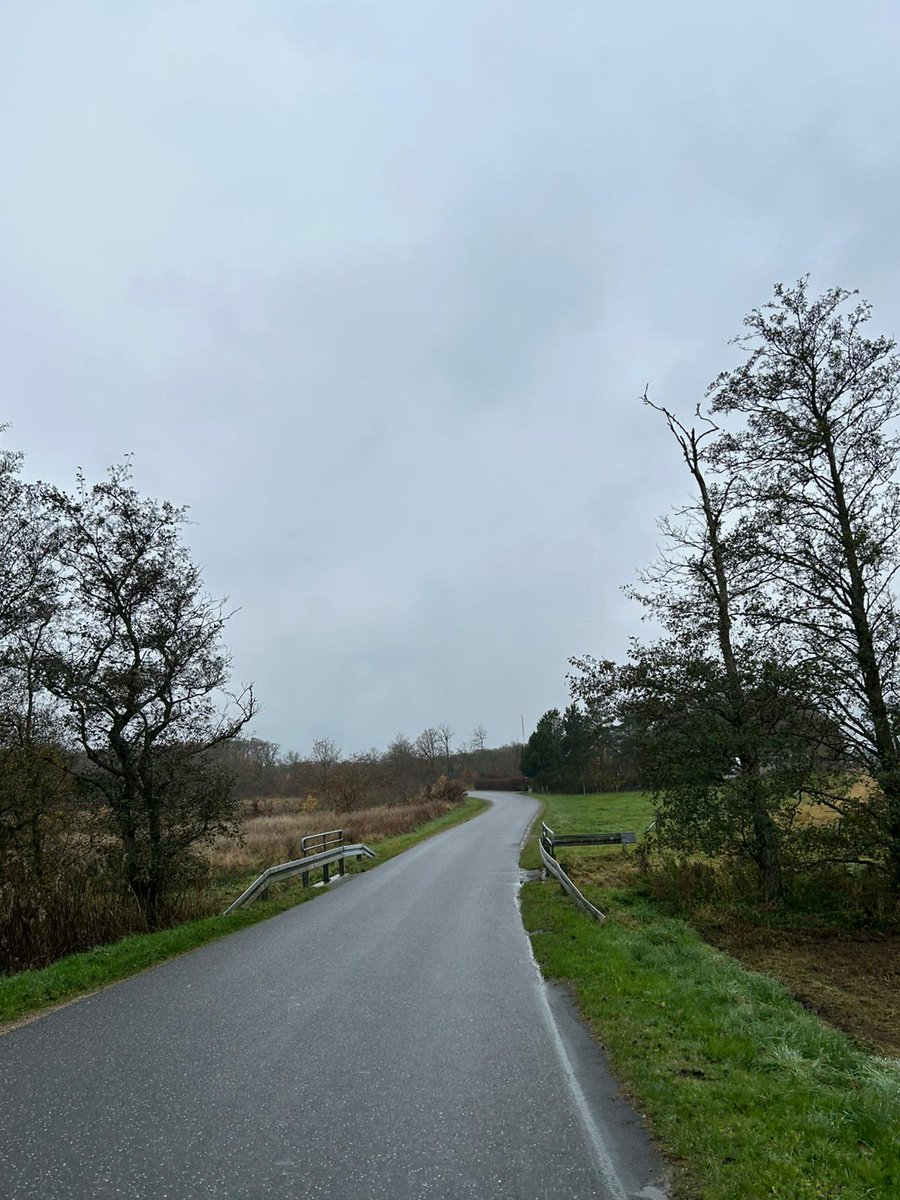 Good morning 𝕏💚