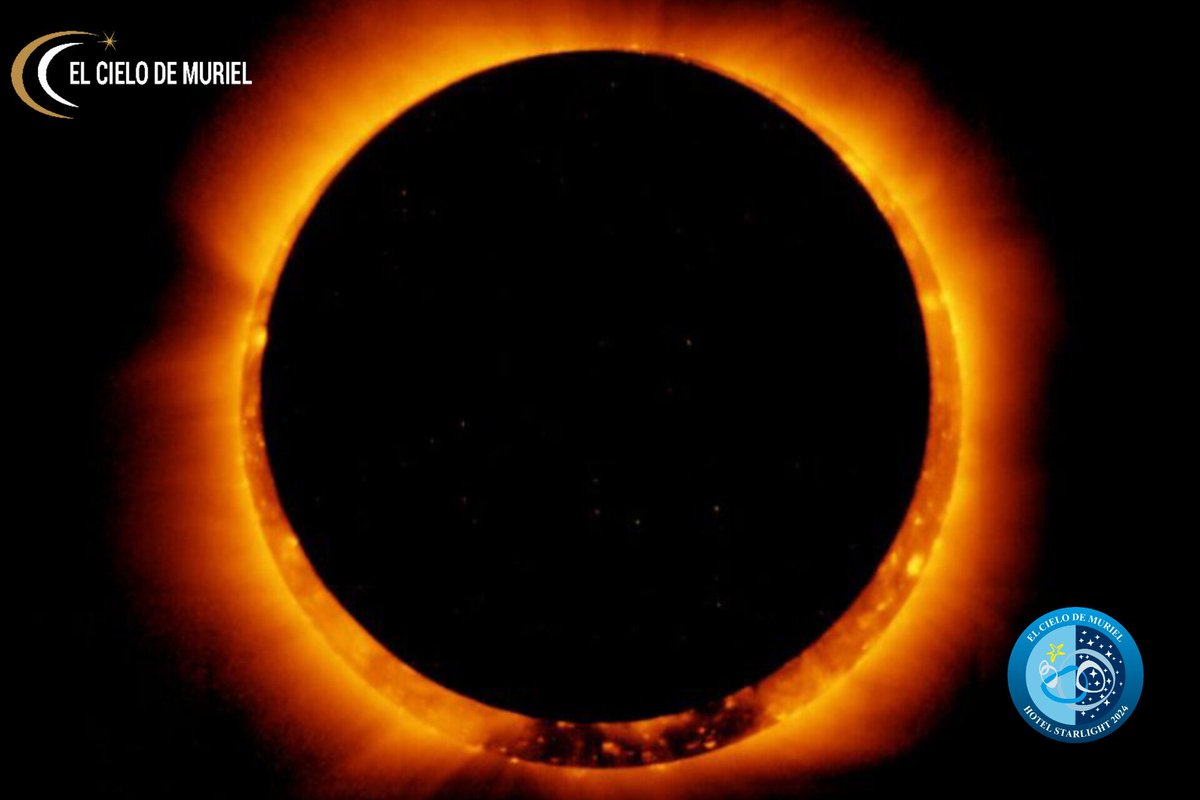 ElCielodeMuriel's tweet photo. Llega 2026 el año del GRAN ECLIPSE
https://t.co/HQbDtuDAe0
Lee este blog para enterarte de por qué Soria es el lugar ideal para verlo.
#graneclipse #astroturismo #hotelelcielodemuriel #eclipse2026 #soria #blog https://t.co/DoL31aM1X5