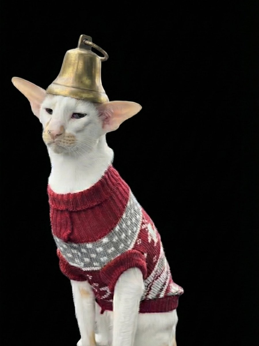 $bells

opcat Christmas