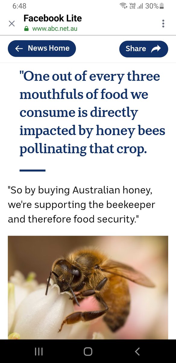 🐝🐝🐝🇦🇺🇦🇺🇦🇺💛💛💛
abc.net.au/news/2025-12-1…