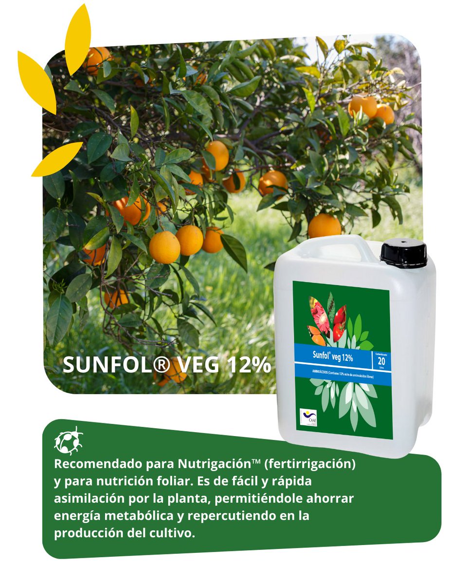 Sunfol Veg 12% es un suplemento nutricional con aminoácidos libres de origen vegetal que se asimila de forma rápida y eficiente, ayudando a la planta a ahorrar energía metabólica y favoreciendo una mayor producción y calidad de la cosecha.
