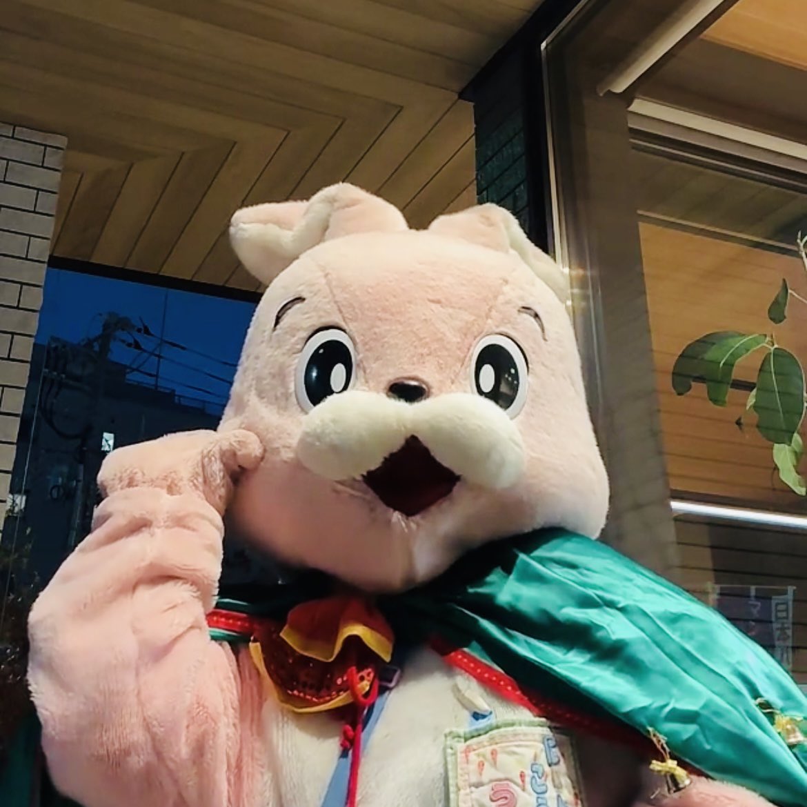 うさきち【公式】USAKICHI (@go_go_usakichi) / Posts / X