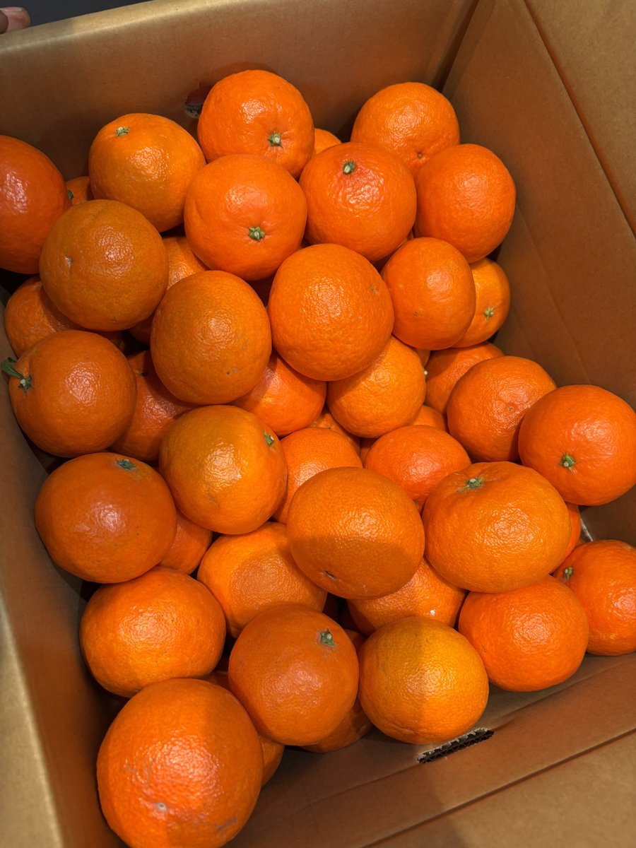 みかんページです♡ みかん様 みかんページ ミカン様 ミカン様 蜜柑様 レビュー】ZX