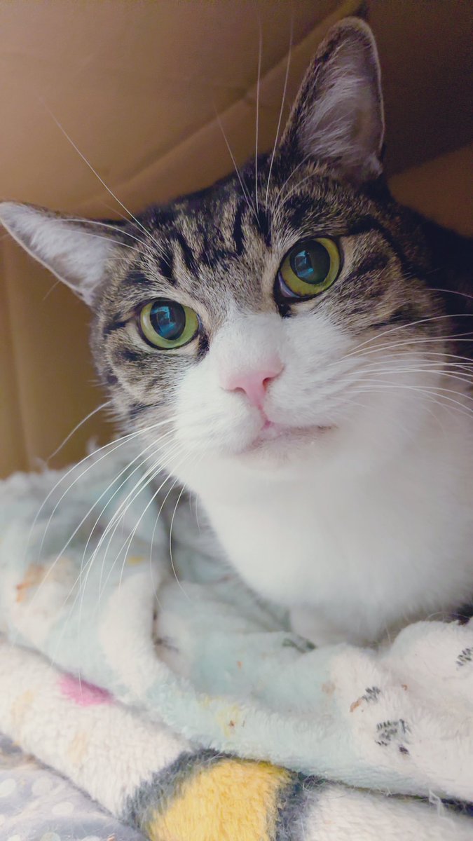 あんどわん tweet media