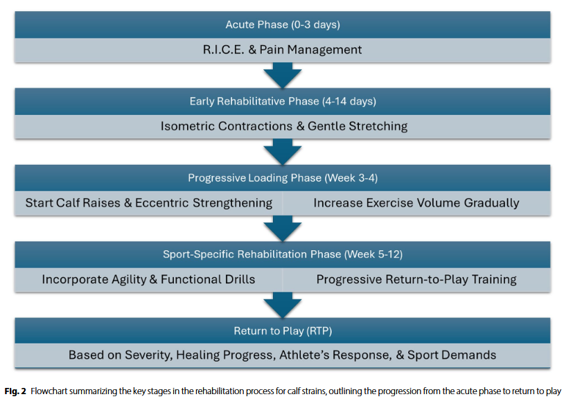 Calf Strains in Athletes: A Narrative Review of Management, Injury Grading, and Return to Sport

🔓 link.springer.com/article/10.118…