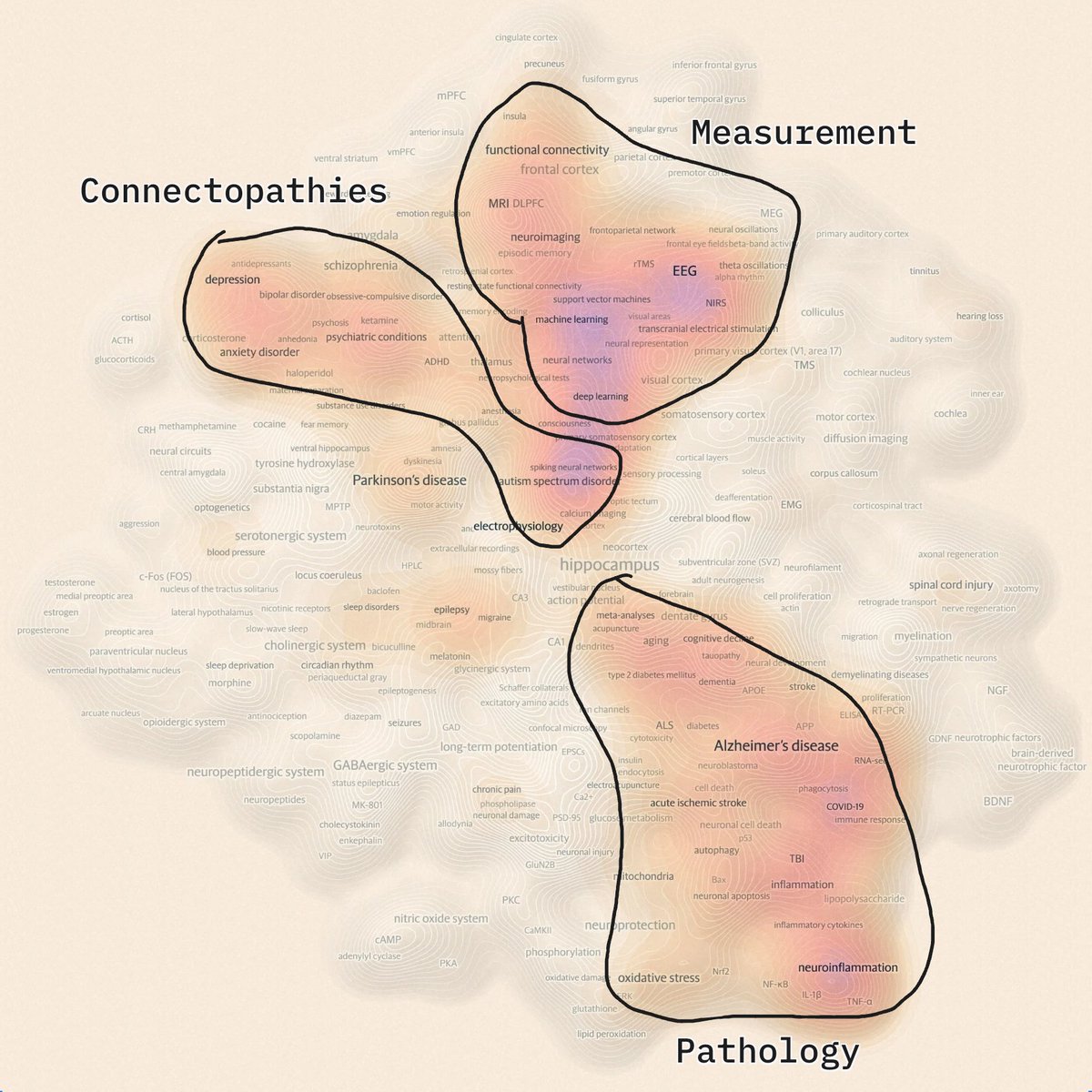 3 growing trends in neuroscience:
Connectopathies > brain mapping
Measurement > neuroAI data
P