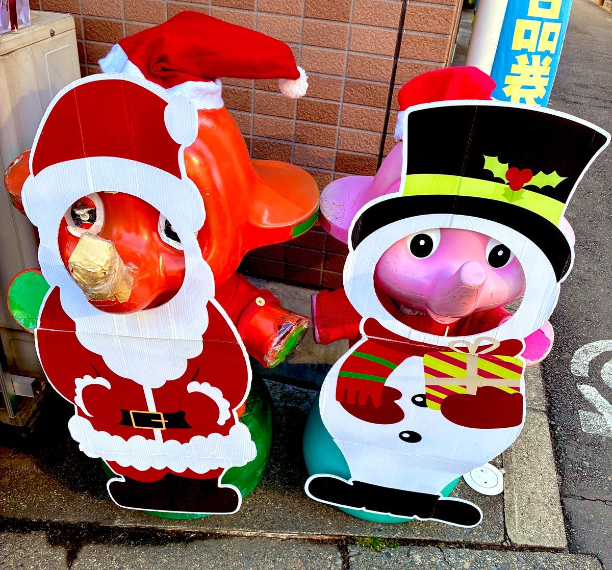 たまねこ (@tamanohitori) / Posts / X