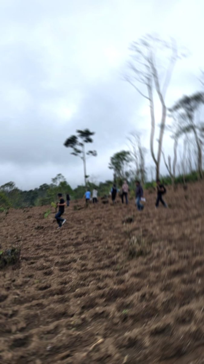 CentralsSC's tweet image. Banyaknya penggundulan kebun teh di Pangalengan, hari Minggu kemarin menanam pohon bersama rekan-rekan lainnya, walau masih terbilang "kecil" semoga bisa besar dan berlanjut dikemudian hari.

Nuhun @378_BOBOTOH + Bandung Friday Football Stret #Rispek🫡