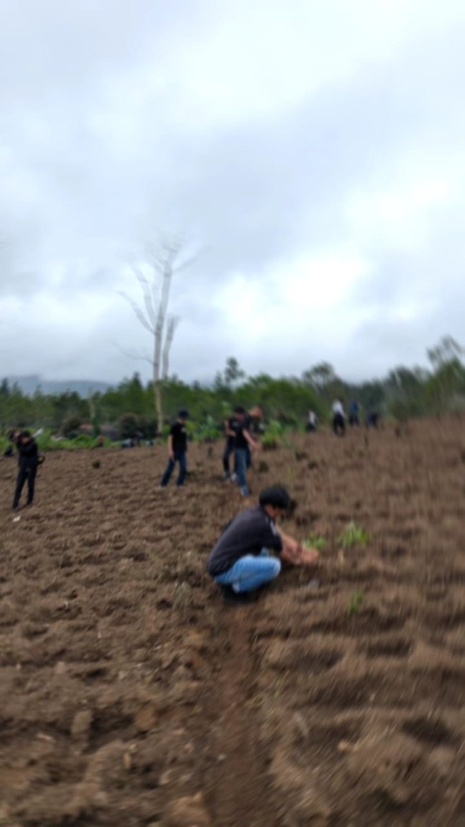CentralsSC's tweet image. Banyaknya penggundulan kebun teh di Pangalengan, hari Minggu kemarin menanam pohon bersama rekan-rekan lainnya, walau masih terbilang "kecil" semoga bisa besar dan berlanjut dikemudian hari.

Nuhun @378_BOBOTOH + Bandung Friday Football Stret #Rispek🫡