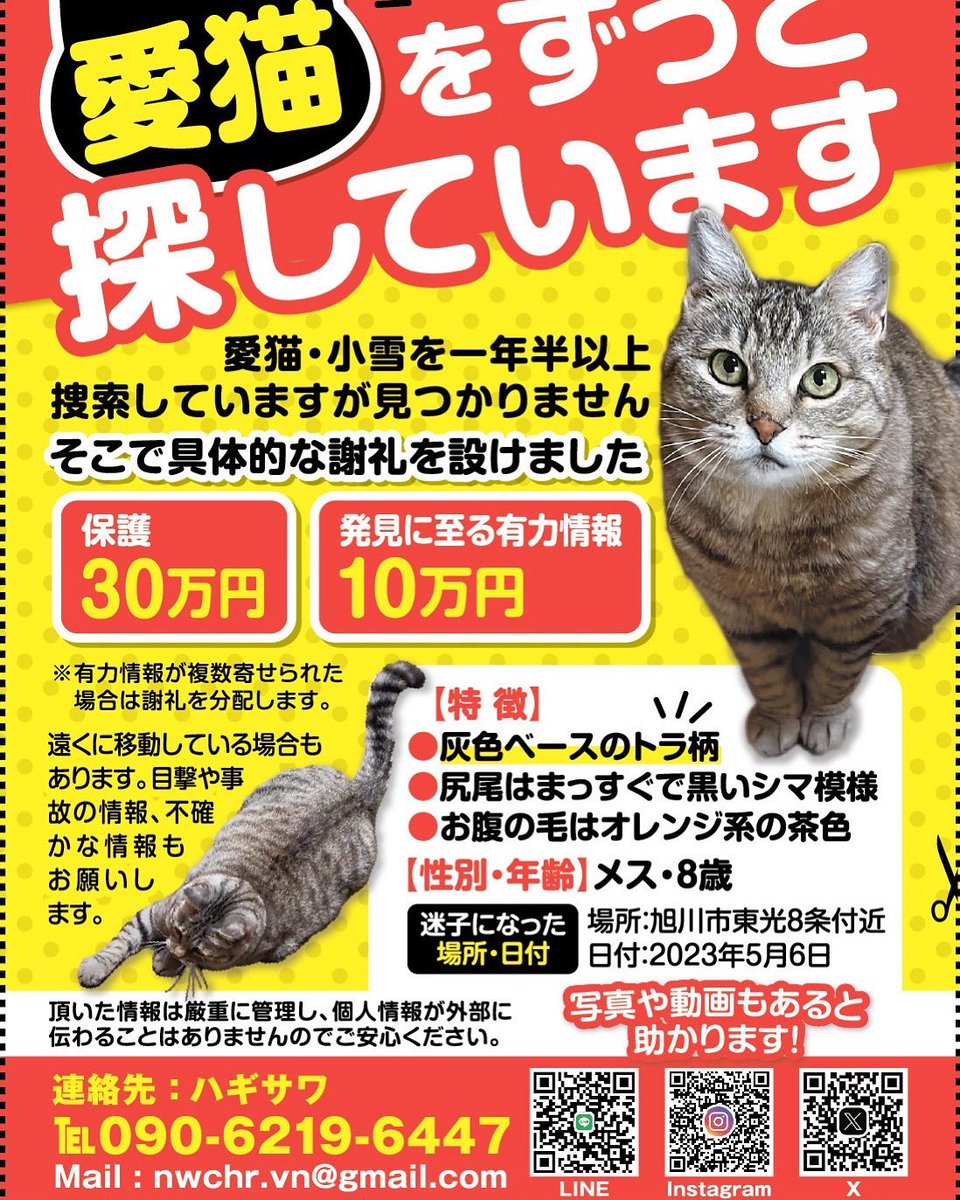 nekokoyuki0126's tweet photo. すっかり雪が積もってしまい、小雪を保護した時期を思い出し、また悲しくなります。
今でも自責の念でいっぱいです。どうかこゆちゃんが無事でいますように…。
そして、こゆに会うことを諦めていません。どうか情報お願いします。
#旭川　#迷い猫 https://t.co/jEqy4Od1MZ