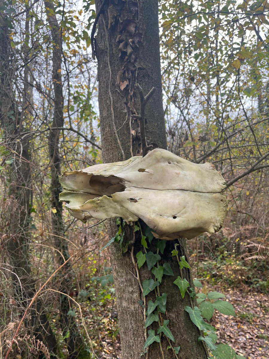 Fight3R16🌊RIVER tweet media