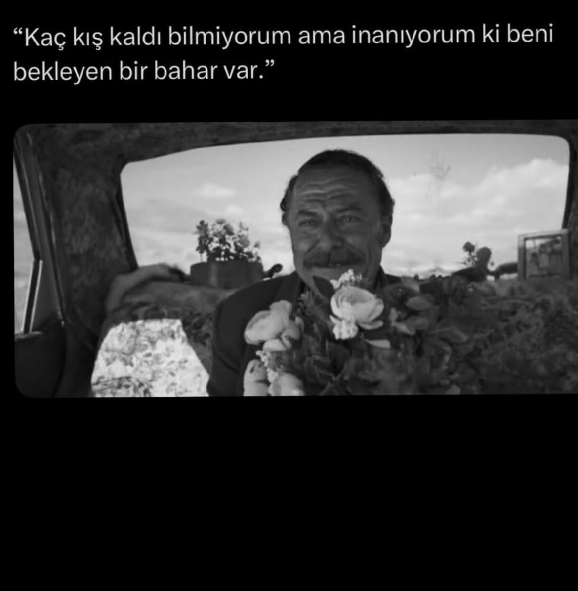 HELLY (@hellyhelima) on Twitter photo 