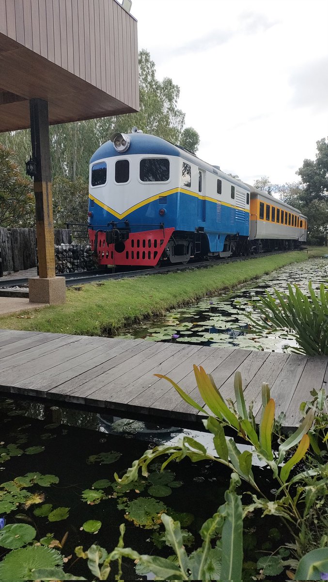 ชายเดี่ยว xxx 54 tweet media