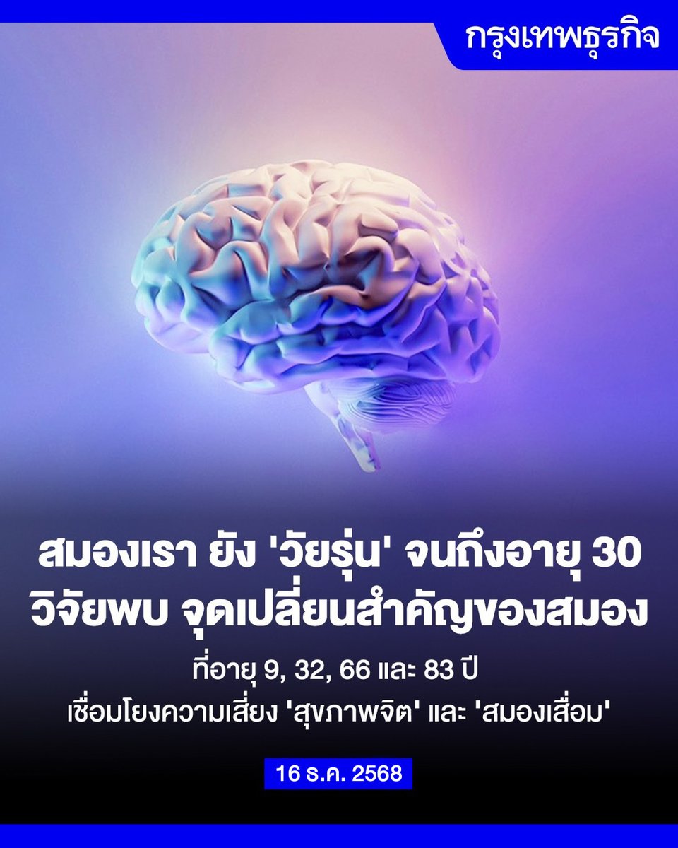 ktnewsonline's tweet photo. สมองยังคงอยู่ในช่วง “วัยรุ่น” ไปจนถึงอายุ 30 ปี เปิดงานวิจัย 4 ช่วงอายุสำคัญของ ‘สมอง’

งานวิจัยล่าสุดชี้ให้เห็นว่า การพัฒนาของสมองมนุษย์ไม่ได้ดำเนินไปอย่างต่อเนื่องและเรียบเสมอตั้งแต่เกิดจนถึงวัยชรา แต่แบ่งออกเป็นช่วงสำคัญที่มีลักษณะเฉพาะ โดยพบ “จุดเปลี่ยน” หลักของสมองที่อายุประมาณ 9, 32, 66 และ 83 ปี

การค้นพบดังกล่าวมาจากการวิเคราะห์ภาพสแกนสมองของอาสาสมัครราว 4,000 คน ตั้งแต่อายุ 9 ขวบไปจนถึง 90 ปี เพื่อศึกษารูปแบบการเชื่อมต่อระหว่างเซลล์สมอง หรือเครือข่ายประสาท (neuronal connections)

ทีมนักวิจัยจากมหาวิทยาลัยเคมบริดจ์ (University of Cambridge) พบว่า สมองยังคงอยู่ในช่วงที่เรียกว่า “วัยรุ่น” ไปจนถึงอายุราว 30 ปีต้นๆ ก่อนจะเข้าสู่ช่วงที่ประสิทธิภาพการทำงานของสมองอยู่ในระดับสูงสุด

นักวิจัยระบุว่า ผลการศึกษานี้อาจช่วยอธิบายได้ว่า เหตุใดความเสี่ยงของปัญหาสุขภาพจิตและภาวะสมองเสื่อมจึงแตกต่างกันไปตามช่วงวัยของชีวิต

แม้สมองจะมีการเปลี่ยนแปลงอยู่ตลอดเวลาเพื่อตอบสนองต่อประสบการณ์และการเรียนรู้ใหม่ๆ แต่งานวิจัยชิ้นนี้ ชี้ให้เห็นว่า การเปลี่ยนแปลงดังกล่าวไม่ได้เกิดขึ้นในลักษณะเส้นตรงจากเกิดจนตาย แต่เกิดเป็นช่วงๆ ที่มีรูปแบบและจังหวะเฉพาะของแต่ละวัย

‘กรุงเทพธุรกิจ’ จะพาผู้อ่านไปทำความเข้าใจว่า สมองมนุษย์ทั้ง 5 ช่วงของชีวิตมีลักษณะการทำงานอย่างไร และจุดเปลี่ยนของสมองในแต่ละช่วงวัยสัมพันธ์กับสุขภาพจิต ประสิทธิภาพการคิด และความเสี่ยงโรคสมองเสื่อมอย่างไรบ้าง

อ่านต่อ: https://t.co/7DZuTlT26L

#กรุงเทพธุรกิจ #InsightForOpportunities #กรุงเทพธุรกิจLifestyle