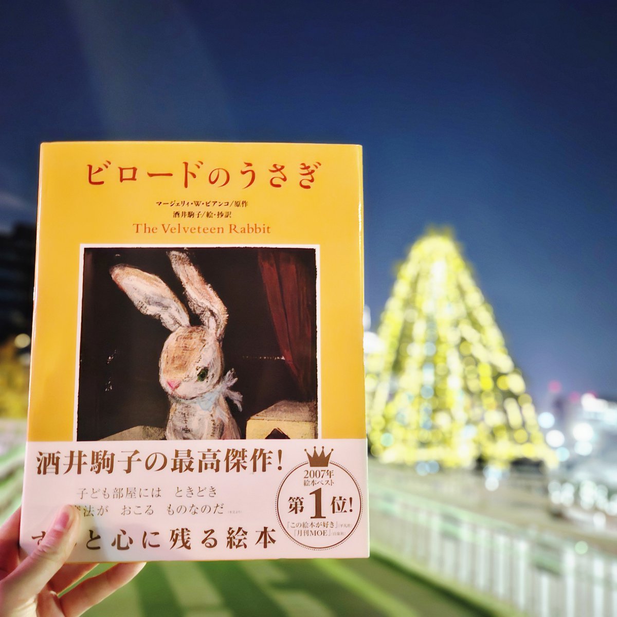 #クリスマスにおすすめの絵本 ③🎄酒井駒子さんの繊細で美しい絵と抄訳でよみがえった名作『ビロードのうさぎ』💫

クリスマスの夜、ぼうやのもとにやってきたビロードのうさぎ。
ふたりはいつもいっしょにすごしました。
やがて、別れのときが訪れて……