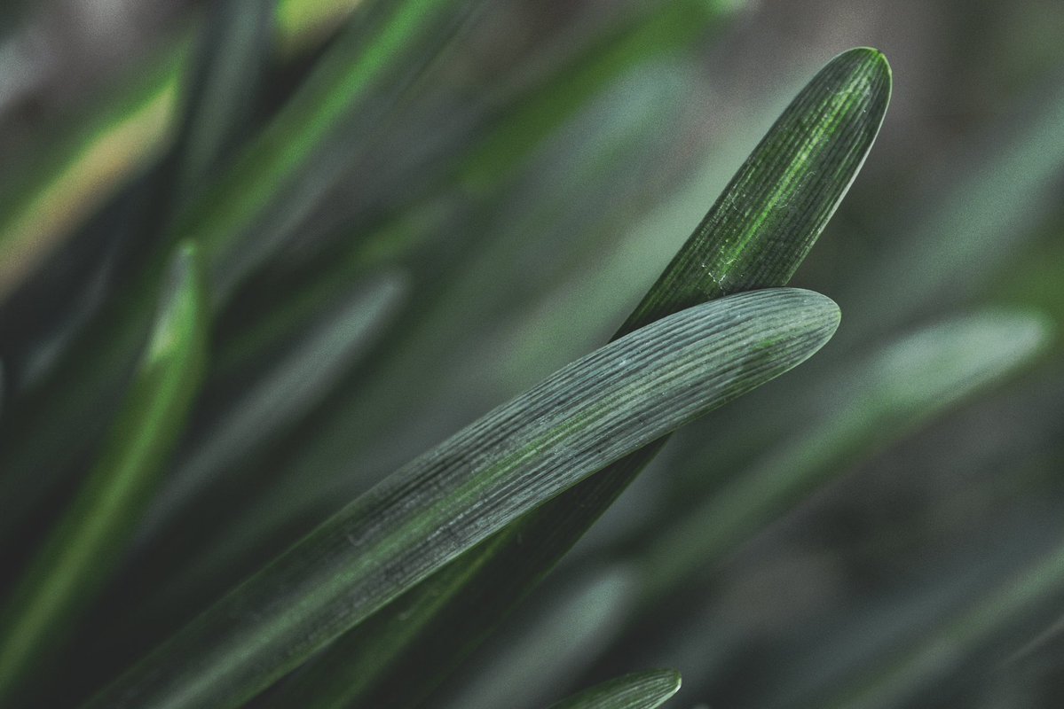 へいじろ (@heijiro9) / Posts / X