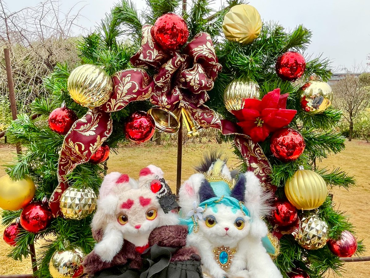 イングリッシュガーデンですが、クリスマスの飾り付けとバラで素敵な