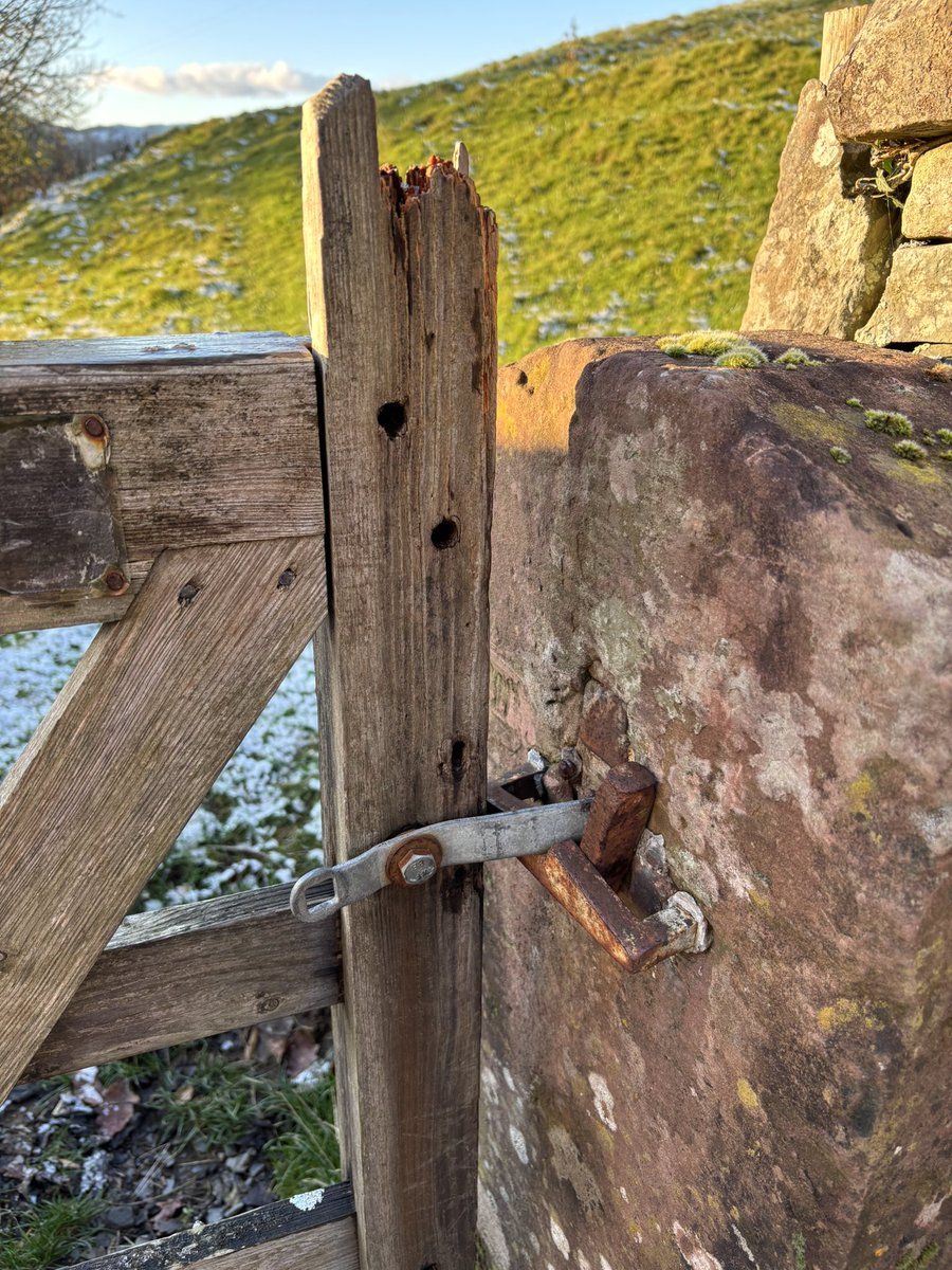 ceadela's tweet photo. @LakesStiles @tismenic70 @LordOrk @Soapy_Wit_Tank @CharlesBewley2 @tutty352 @LansdellMum @RuthRendell1 @Yeti98_ I’ve seen that one 😍

Northern stoop and makeshift snecklifter which looks like a tin opener for #AllMetalMonday #recentarchive https://t.co/mLQvNDpMqJ
