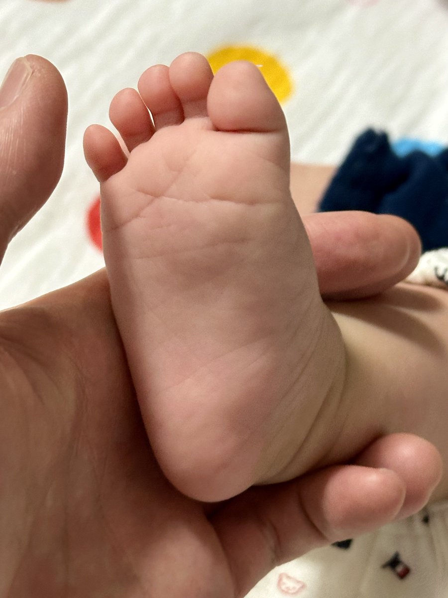 らんらん (@ranran_4429) / Posts / X