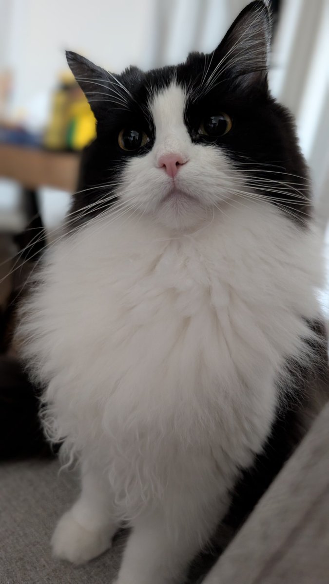 ゴトー@C107 1日目東8 X-61a (@GTO_Mason2) / Posts / X