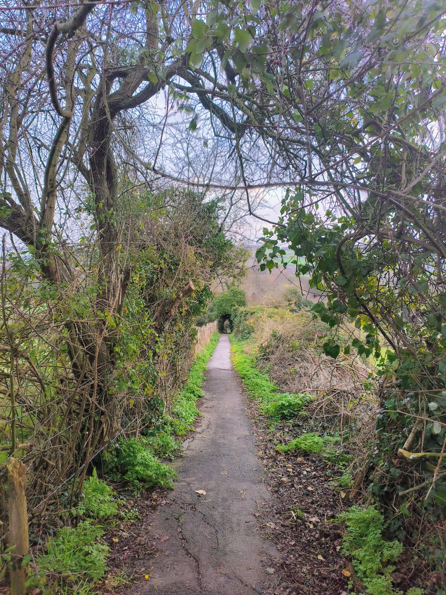 LadyGrace27's tweet image. Monday morning commute...💚

#MondayVibes #MondayMotivation #commute #walking #countryside