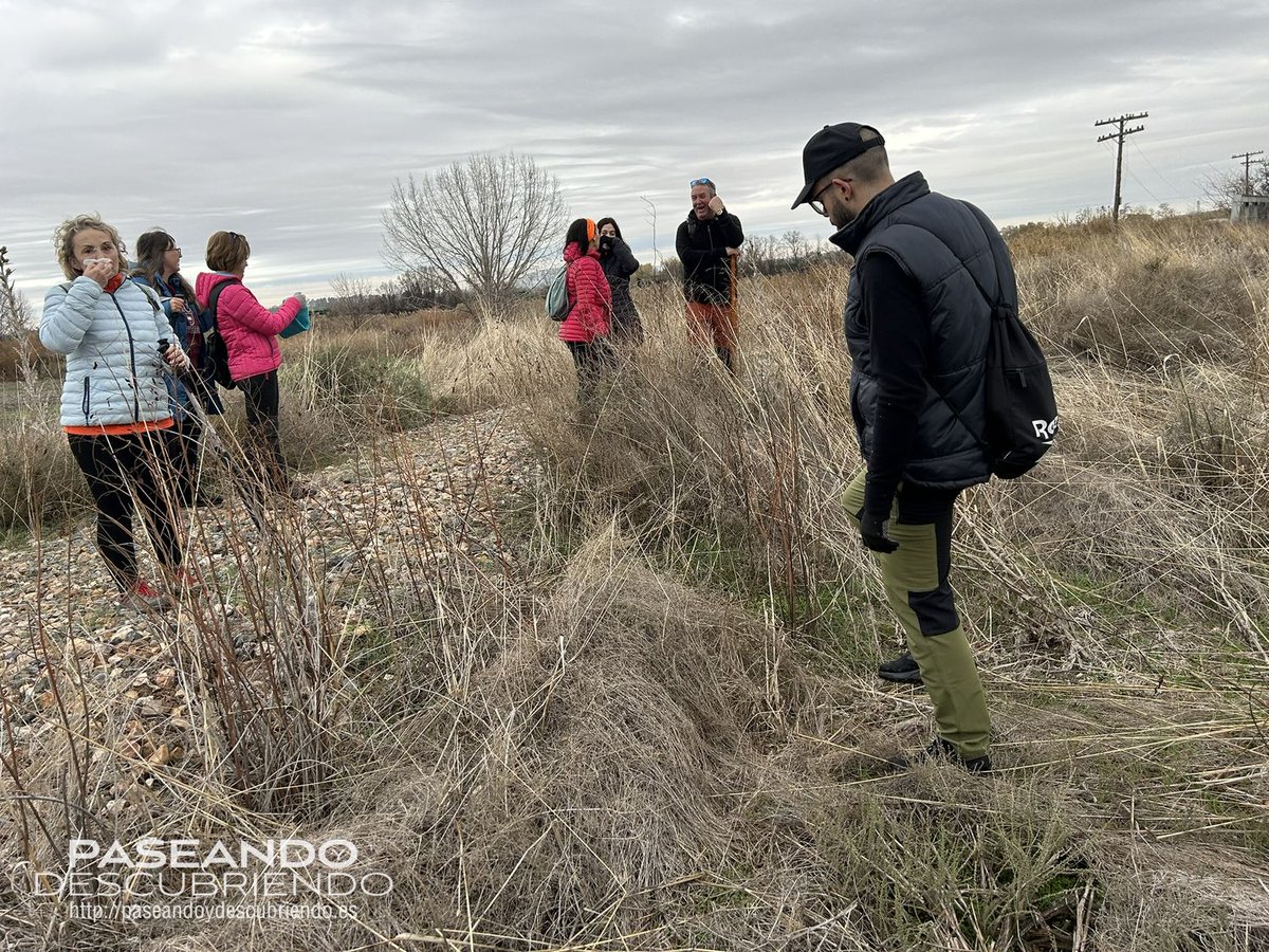 paseandoydescu's tweet photo. BUNKERS ZONA DE ALGODOR.
Encontramos hasta 11 bunkers muy cerca de la estación de Algodor. Descubrimos por la zona  restos de la GCE todos en muy buen estado, cercanos al río Algodor . 
https://t.co/24uiR3kwMI https://t.co/K0hzqE7QRf