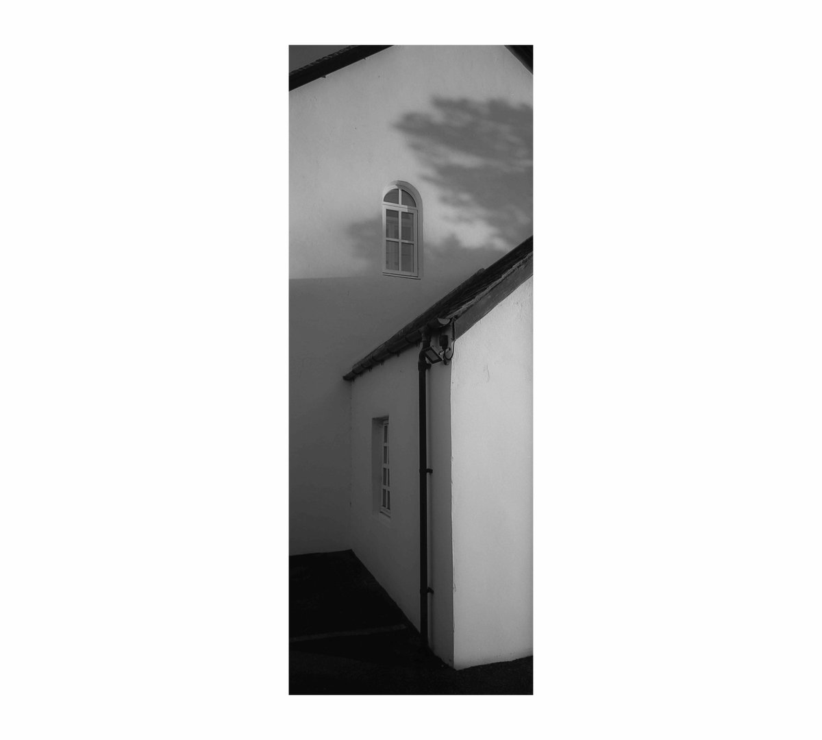 Ffordesphoto's tweet photo. Testing a Hasselblad Xpan, go wide or go tall.
#hasselbladxpan #ilfordhp5 #ilfordphoto #secondhandcamera #usedcamerashop https://t.co/kdmcQzdewI