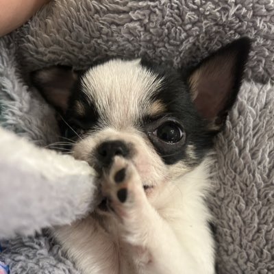 pingoSena's tweet photo. #新しいプロフィール画像 https://t.co/SmxDkAXbcC