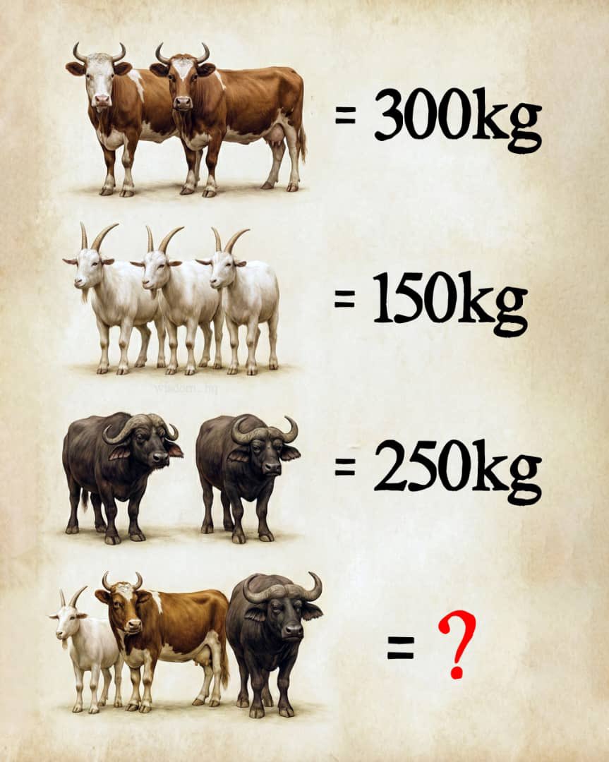 خالد العويمري tweet media