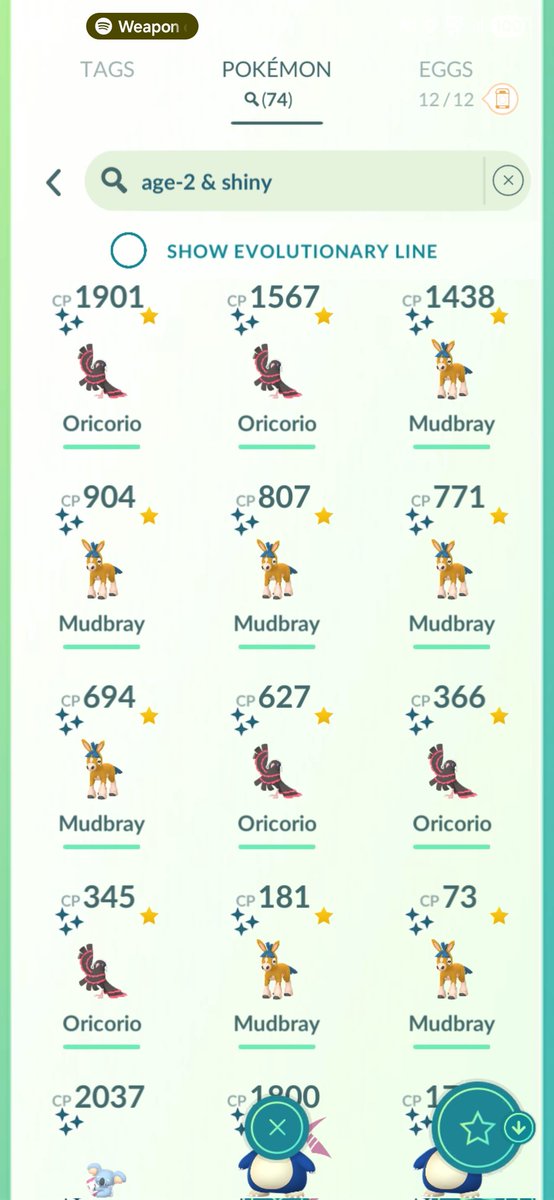 Nino Popovich tweet media