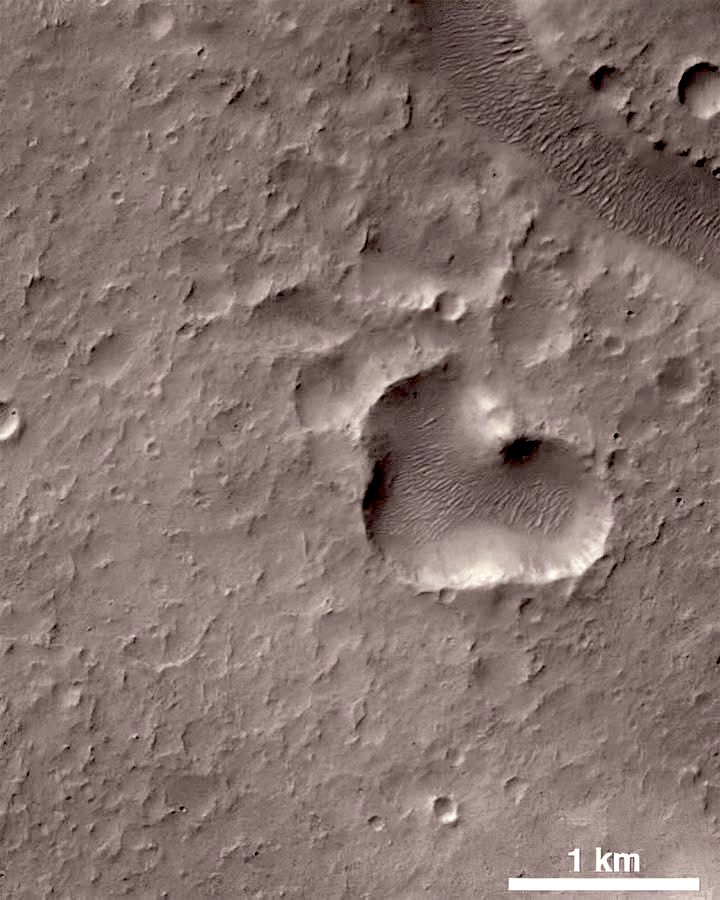 InspiresDaily's tweet image. Smile it looks good on you 

Love more life’s to short to not love and smile more