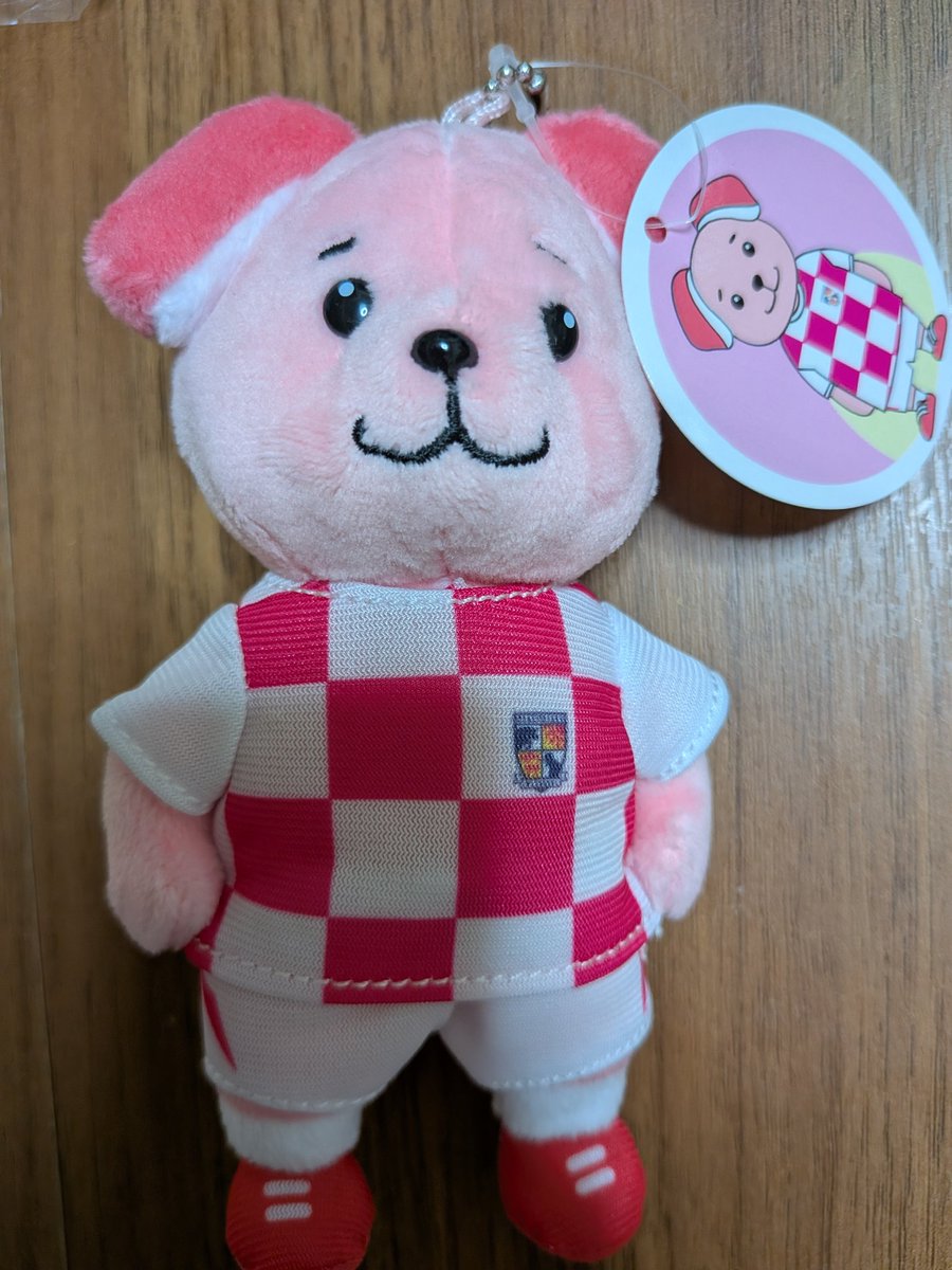 Nami1218's tweet photo. ジャーロくんやっとお迎えできた♡
#ジャーロくん
#テゲバジャーロ宮崎 https://t.co/r5Xt2KGRiA