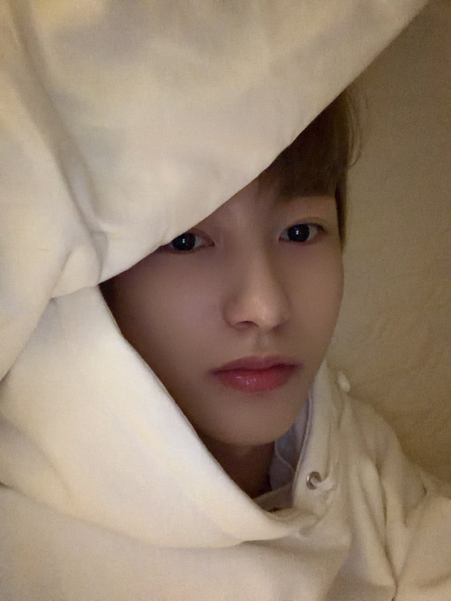 httpsnctdr's tweet image. Mon p’tit chat ❤️