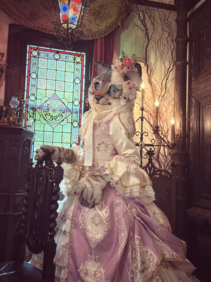 rutiko_satsuki's tweet image. I got some behind the scenes shots!
It was a wonderful space surrounded by real antiques.

#fursuit #cat #アンティーク洋館ハーフ撮影会