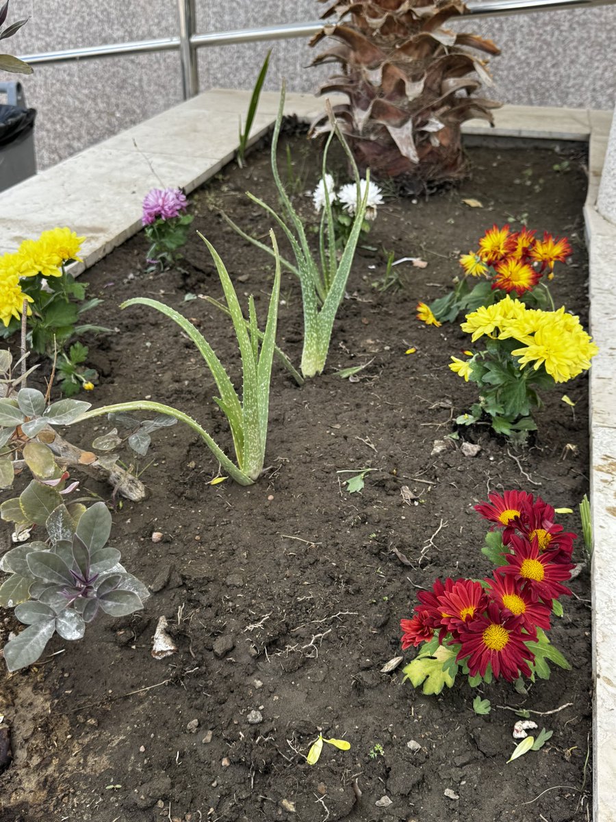 Mijo♍ (@lo11lip) on Twitter photo 