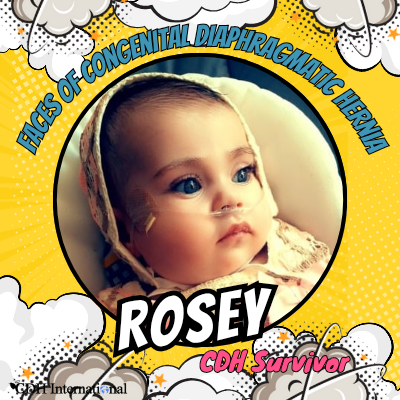 CDH Research International tweet media