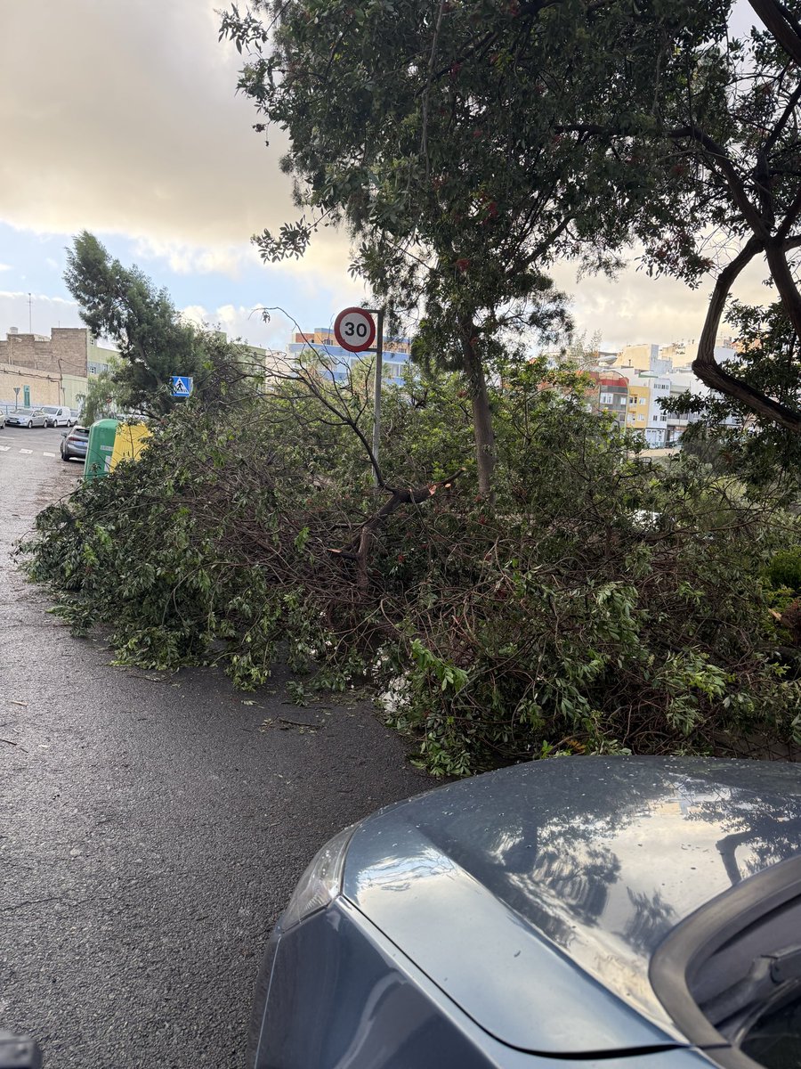 14:11,  15 de diciembre, aunque la foto es de esta mañana, aun continua igual, alcaldesa <a href="/CarolinaDarias/">Carolina Darias</a>, <a href="/aytolpgc/">Ayuntamiento de Las Palmas de Gran Canaria</a>,<a href="/jardinesLPGC/">Parques y Jardines LPGC</a>  que pasa que tenemos ciudadanos de primera y segunda? En 7 palmas una cuadrilla limpiando un descampado, aquí la acera no molesta a los mayores.